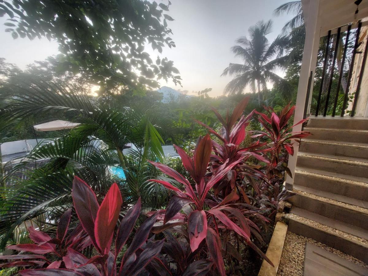 A Touch Of Pink Secret Eco Retreat Near Underground River * Puerto Princesa