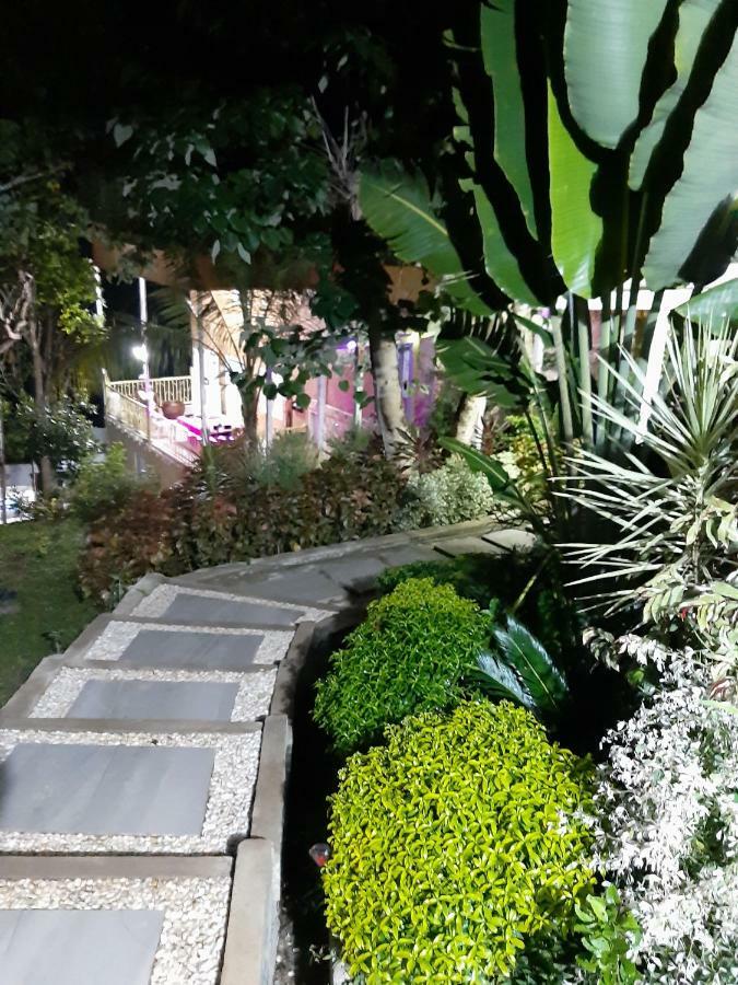 A Touch Of Pink Secret Eco Retreat Near Underground River Puerto Princesa